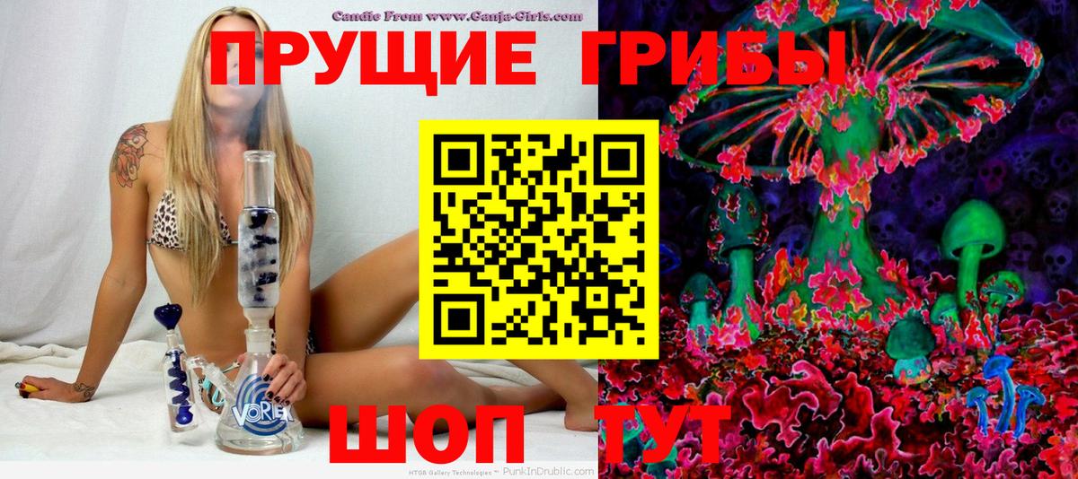Псилоцибиновые грибы Psilocybine cubensis  Вход с VPN  Вольск  Псилоцибиновые грибы мухоморы 